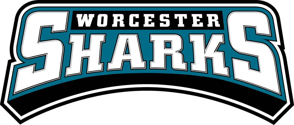 Worcester Sharks 2006 07-Pres Wordmark Logo iron on transfers for T-shirts